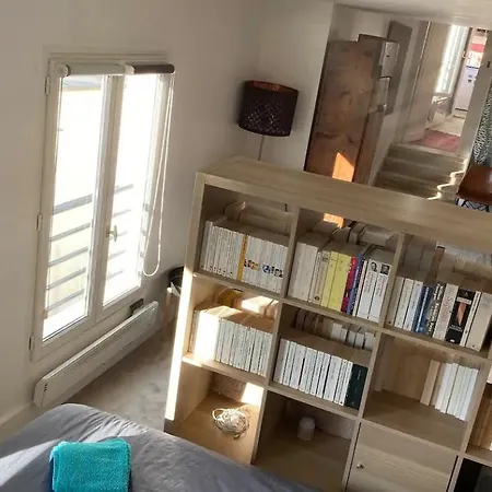 Vue Sur Les Toits - Saint-germain-des-pres Paříž